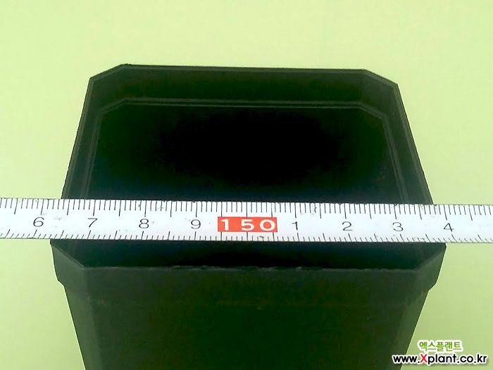 6개-사각 플분 7.5cm (10+1) 플라스틱화분 사각포트 파종분 7.5
