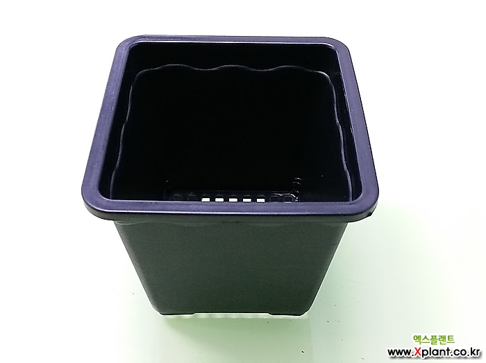 도매-1BOX(200개) 2호 플분10cm 플라스틱화분 사각포트