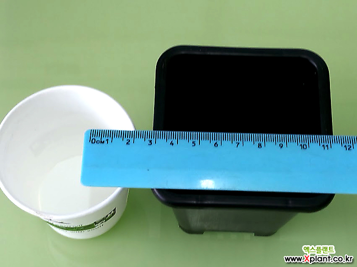 도매-1BOX(500개) 1호 플분7.5cm 검정플분 플라스틱화분 사각포트