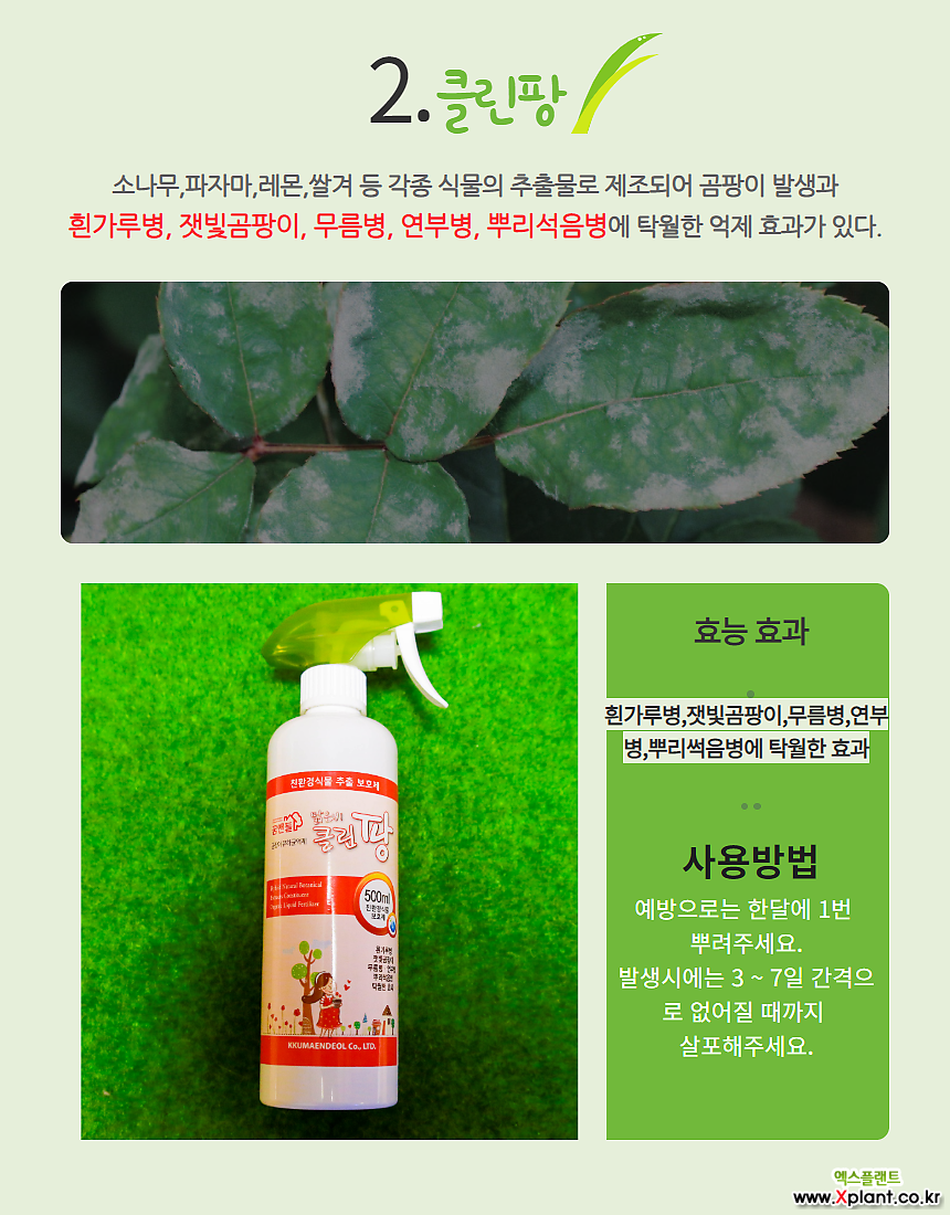 깍지벌레약 살충제,곰팡이균 억제 효과 세트 (2개 1세트)