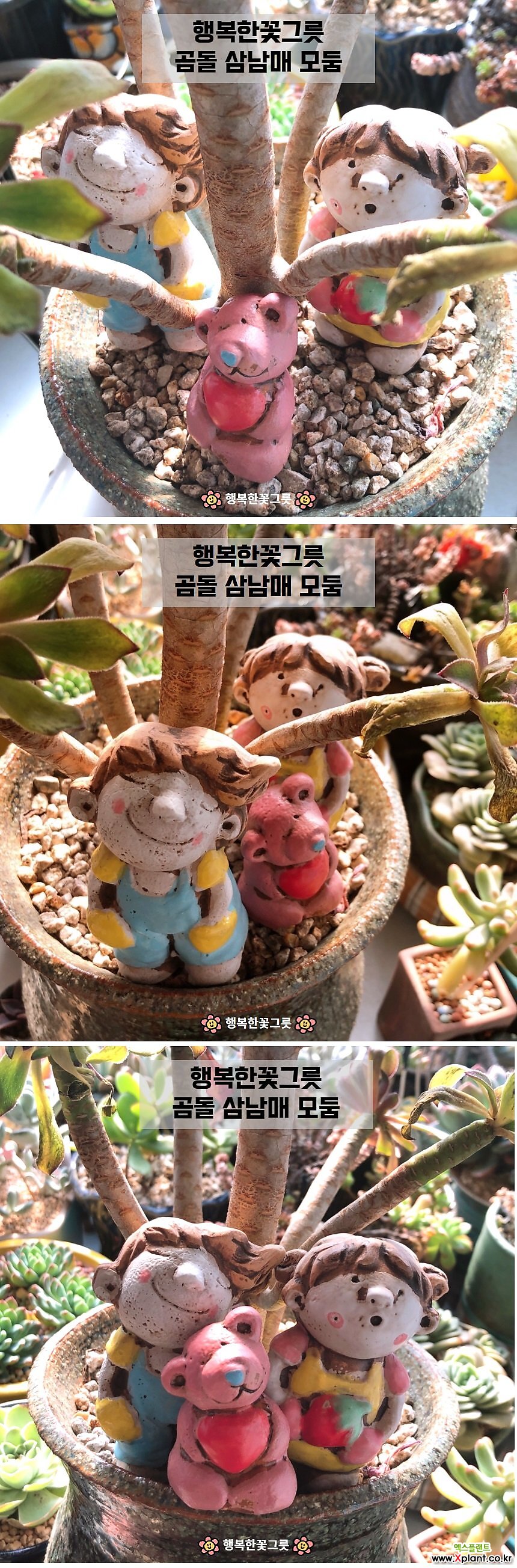 곰돌삼남매/화분장식/행복한꽃그릇
