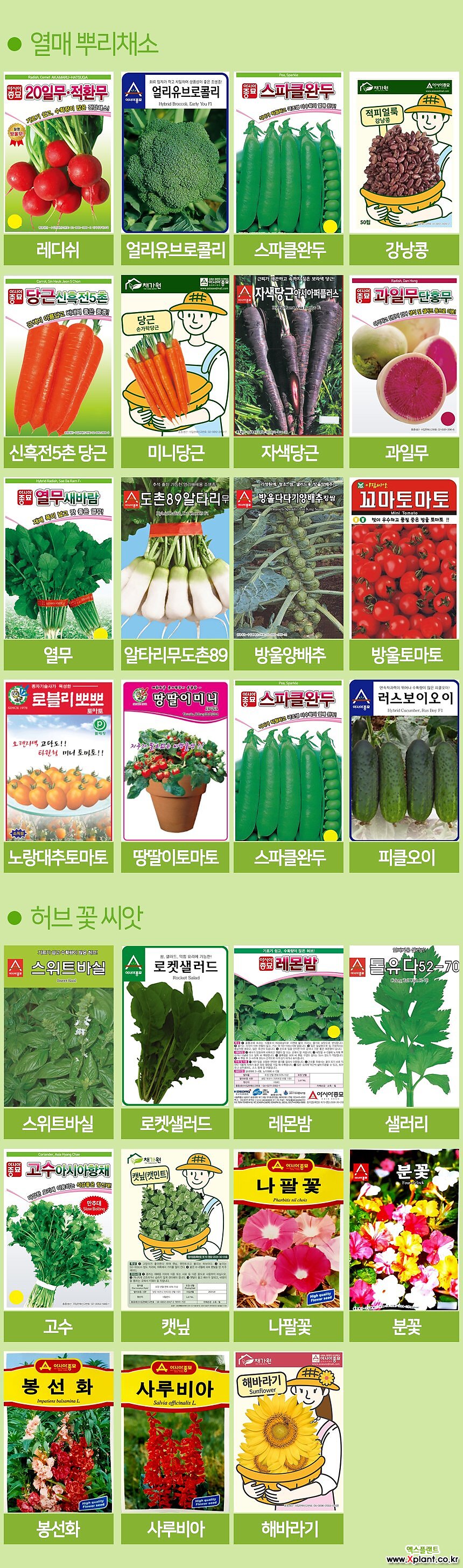 세경팜 아삭이상추생채 씨앗 베란다텃밭 식물키우기