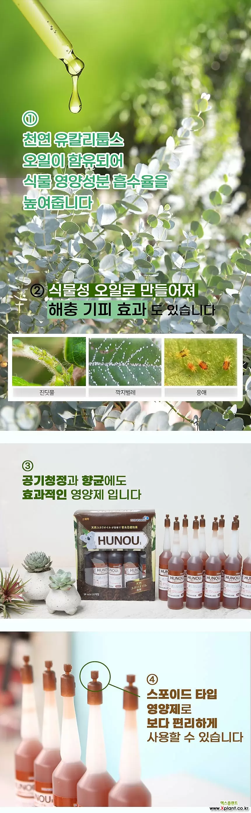  앰플 영양제(화초식물전용)-주말농장 식물보호제 영양제 활력제 인아트스튜디오