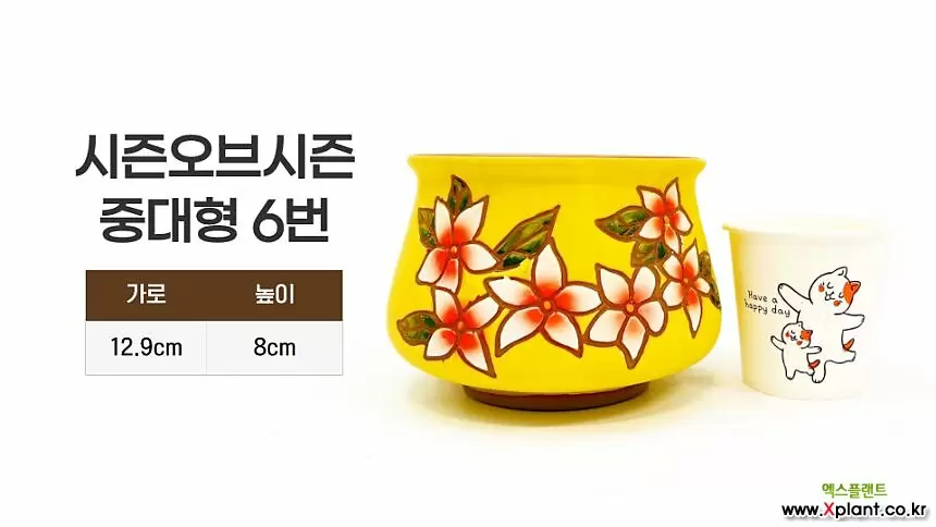 시즌중대형6번/행복한꽃그릇