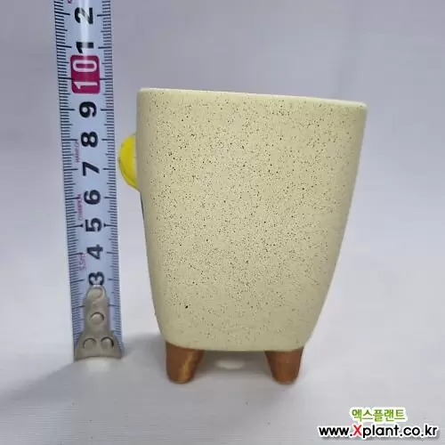 소형화분CS-35-BN 파스텔 사각 5종세트 (높이9.5cm)고고화분