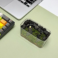 多肉植物 韓国苗 uki✴︎uki 韓国苗 60苗ちびちゃん詰め合わせ 多肉植物 MIX苗【多肉植物