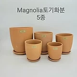 Magnolia토기화분5종