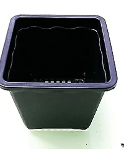 도매-1BOX(200개) 2호 플분10cm 검정플분 플라스틱화분 사각포트