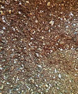 다육식물 분갈이흙 6리터(유튜브 꽃보다이쁜다육 농장)