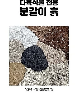 [무료배송]분갈이흙15kg 수제 다육이분갈이흙 고고화분