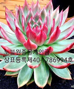 1685690617