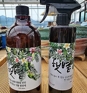 햇볕영양제세트