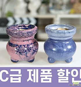 C급 제품 할인 오뚜기(핑크 블루) 2종 세트