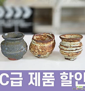 C급 제품 할인 고급 콩분 3종 세트