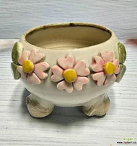 냥이분 다육화분