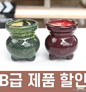 B급 할인 특가 소형 오뚜기 2종세트