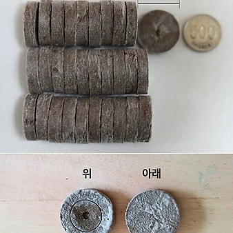 지피7 펠렛 압축배양토(30개)+모종트레이(퍼플)