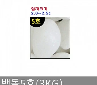 백돌5호(3kg) 1
