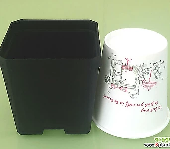 도매-1BOX(800개) 사각파종분 7.5cm  플라스틱화분 사각포트 7.5 1