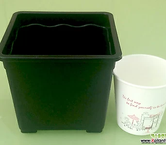 도매-1BOX(150개) 3호 플분12cm 플라스틱화분 사각포트 1