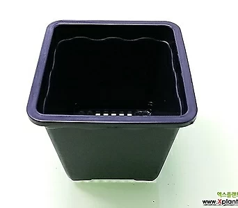 도매-1BOX(200개) 2호 플분10cm 플라스틱화분 사각포트 1