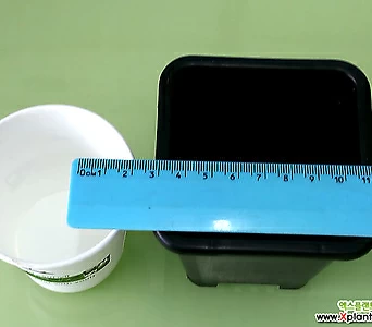 도매-1BOX(350개) 1.5호 플분8.5cm 검정플분 플라스틱화분 사각포트 1