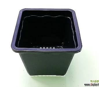 A도매-1BOX(200개) 2호 플분10cm 검정플분 플라스틱화분 사각포트 1