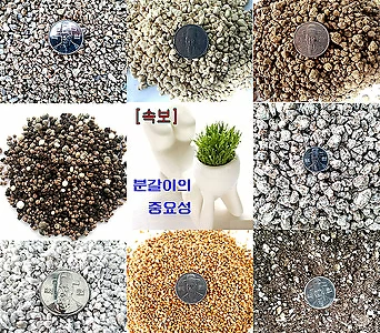 분갈이흙 다모여 01-용토 소립 중립 대립 마사 퍼라이트 질석(리톱스분재금다육이분갈이흙화분영양제) 1