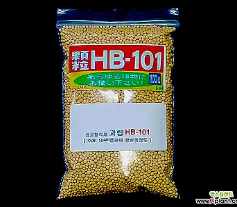 가정용 과립 HB-101 100g- 식물 활력제 영양제 (천연물질의 신비한효과) 다육영양제 1