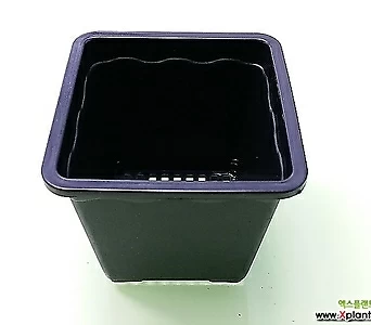 도매-1BOX(200개) 2호 플분10cm 검정플분 플라스틱화분 사각포트 1