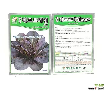 씨앗-036/레드로메인양상추/제일종묘/양상추/채소 1