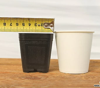 5.7cm 플라스틱화분 1호(10+1)(사각플분 파종분 플분) 1