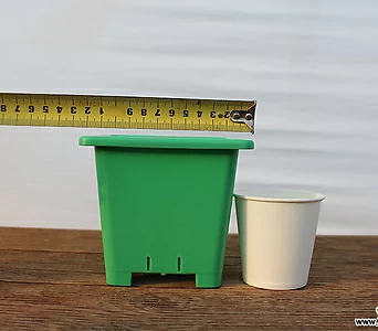 12cm녹색사각 플분 3호(10+1/튼튼한플분 사각플분 파종분 플분) 1