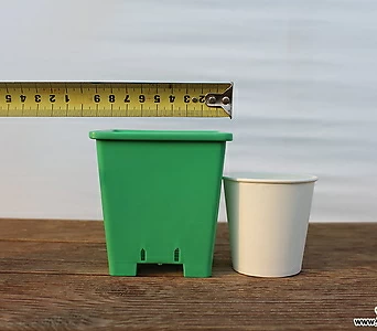 10cm녹색사각 플분 2호(10+1/튼튼한플분 사각플분 파종분 플분) 1