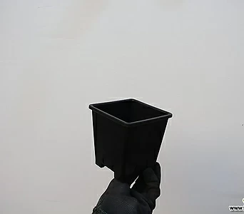 튼튼플분2호(10cm/200개/도매1box)(플라스틱) 1
