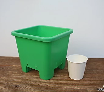 튼튼녹색플분5호(18cm/100개/도매1box)(플라스틱) 1