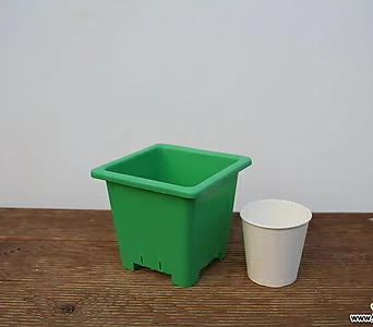 튼튼녹색플분3호(12cm/150개/도매1box)(플라스틱) 1