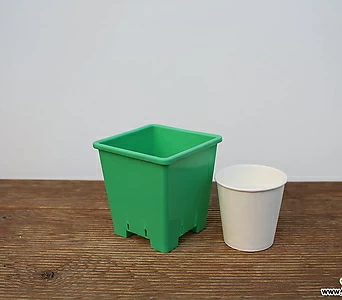 튼튼녹색플분2호(10cm/200개/도매1box)(플라스틱) 1