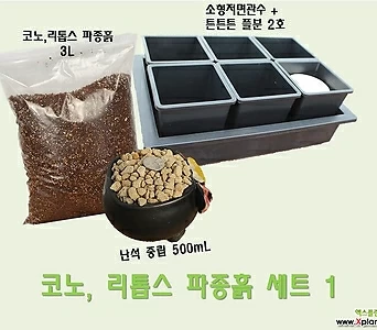 코노, 리톱스 파종흙 세트1 (씨앗별도) 1