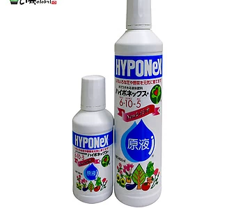 하이포넥스 레이쇼, 종합영양제,160 ml,450ml 1