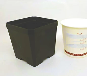 플분도매 플라스틱화분 7.5 cm파종분 1box(800개) 검정플분 1