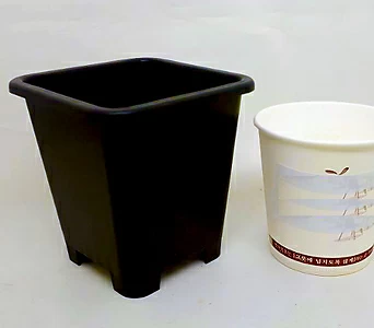플분도매 플라스틱화분 8.5cm플분 1.5호1box(350개) 검정플분 1