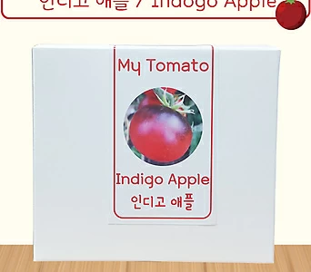 인디고애플 토마토 Indigo Apple Tomato 1