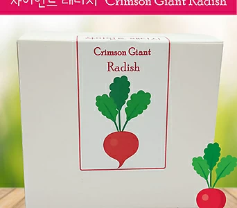 래디시키우기 Crimson Giant Radish 학습자료 자이언트 래디시 20일무 1