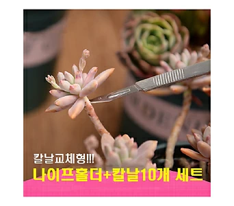 교체형나이프 다육이적심용나이프 원예용나이프/원예자재 행복상회 행복한꽃그릇 1