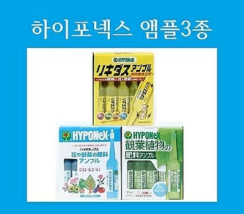 하이포넥스앰플 가정원예용앰플 관엽 레이쇼 리키다스 식물영양제/원예자재 행복한꽃그릇 행복상회 1
