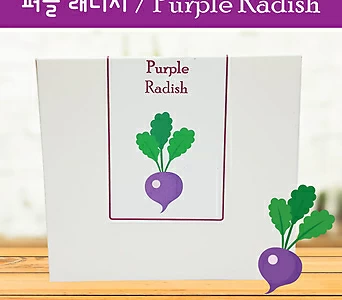 키우기세트 퍼플 래디시 Purple Radish 학습자료 퍼플래디시 보라무 1