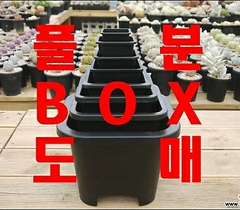 사각플분 BOX도매, 사각플라스틱화분, 튼튼화분, 화분, 플분, 플라스틱화분 1