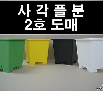 사각플분2호도매-검정/녹색/노랑/백색 1