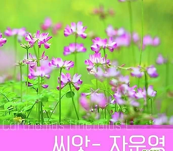 [조이가든]-자운영_1kg 씨앗 1